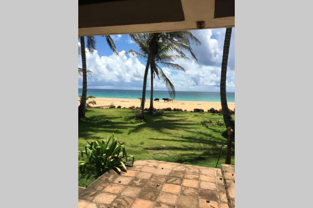 Coconut Castle At La Lodge At Long Bay South End エクステリア 写真