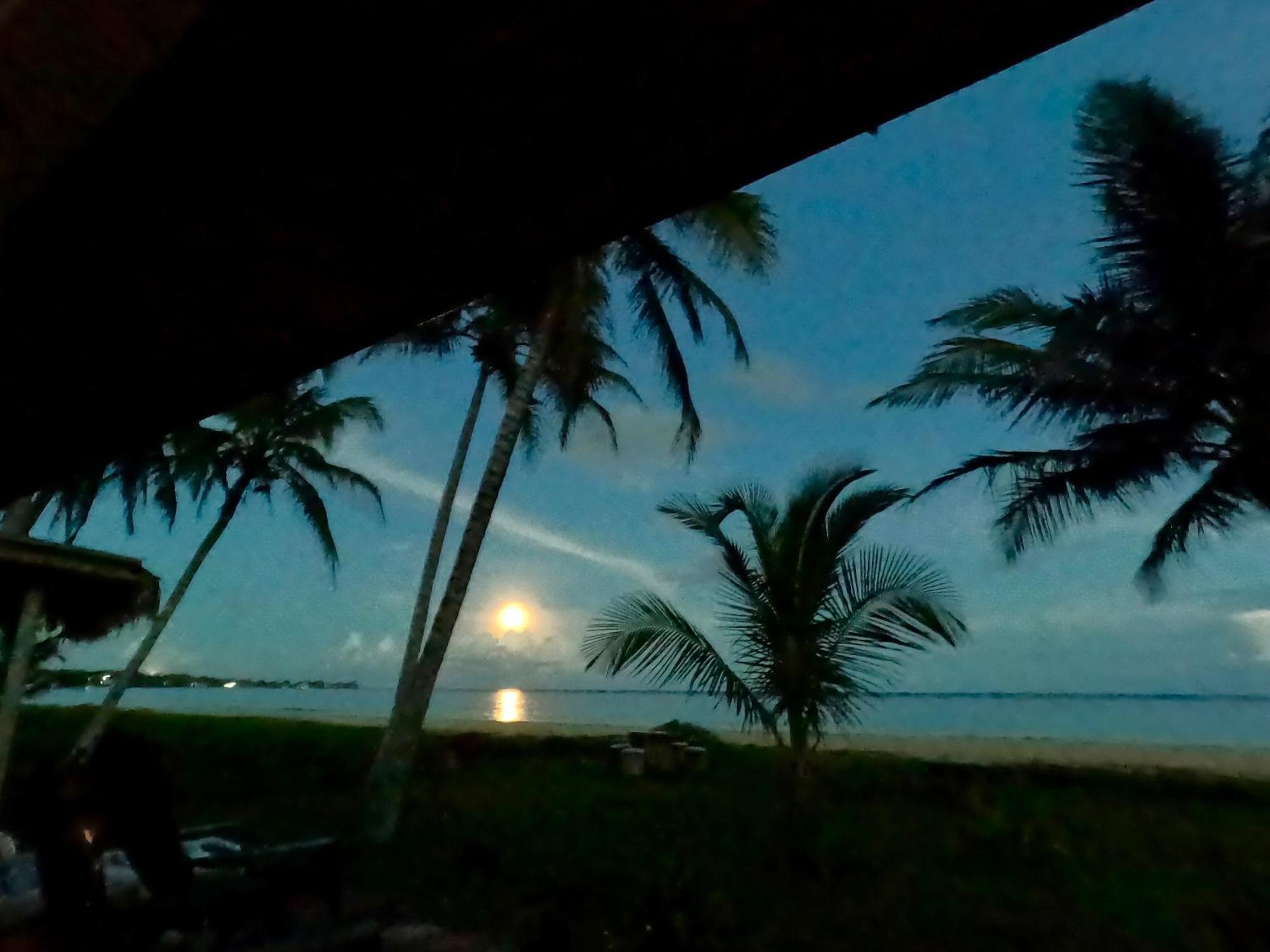 Coconut Castle At La Lodge At Long Bay South End エクステリア 写真